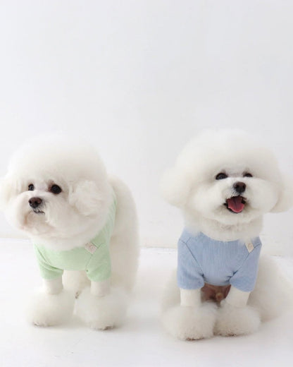 シャーベットワッフルTシャツ - HEY,BUDDY