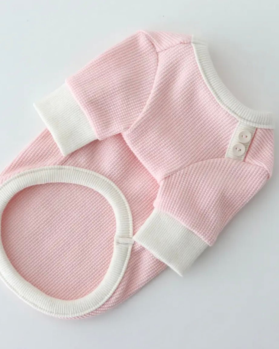 シャーベットワッフルTシャツ - HEY,BUDDY