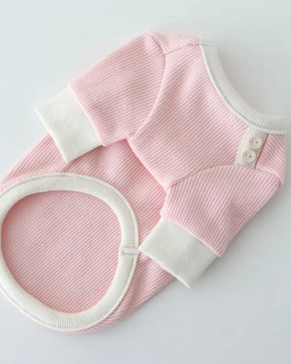 シャーベットワッフルTシャツ - HEY,BUDDY