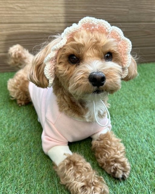 シャーベットワッフルTシャツ - HEY,BUDDY