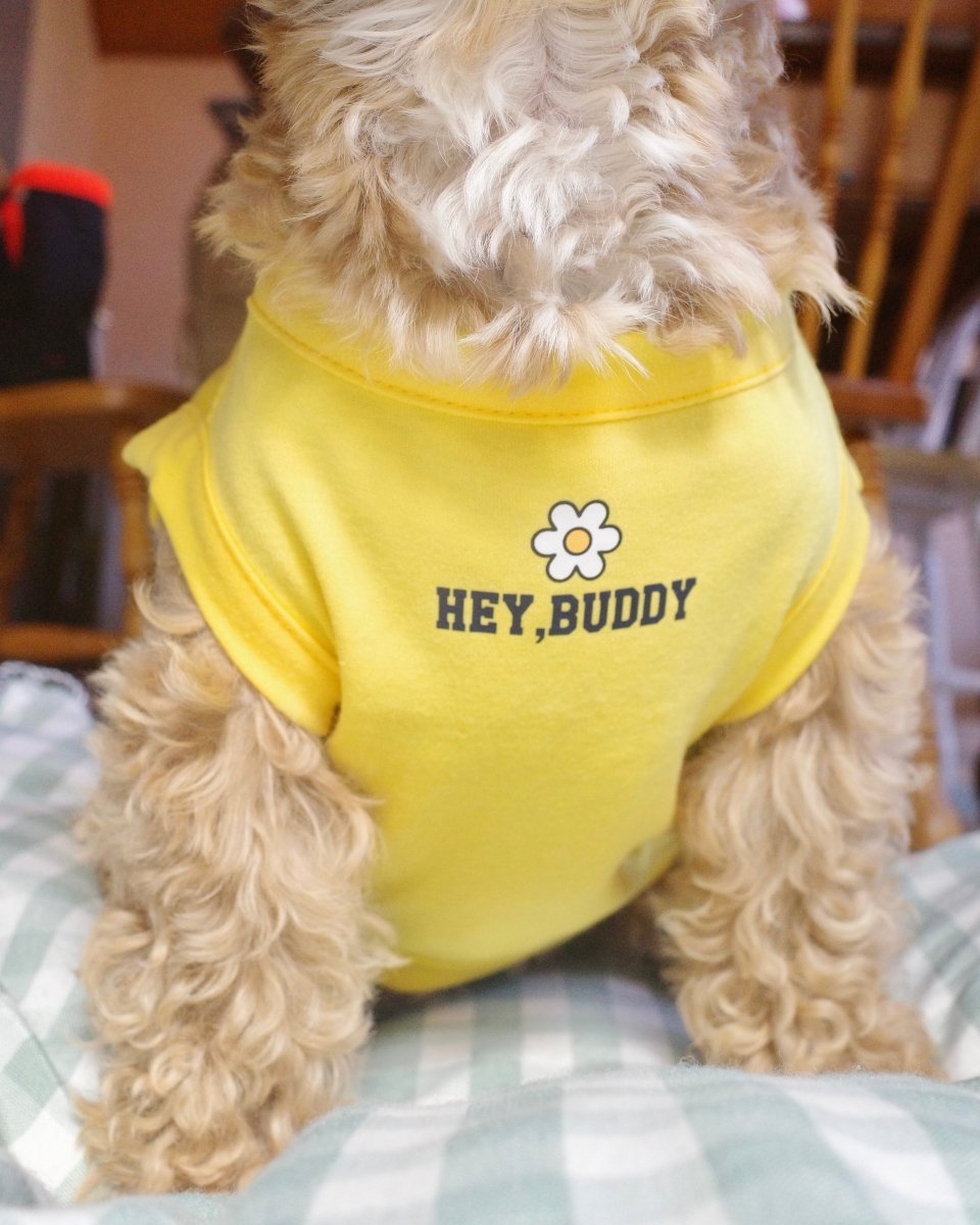 うちの子スクールTシャツ - HEY,BUDDY
