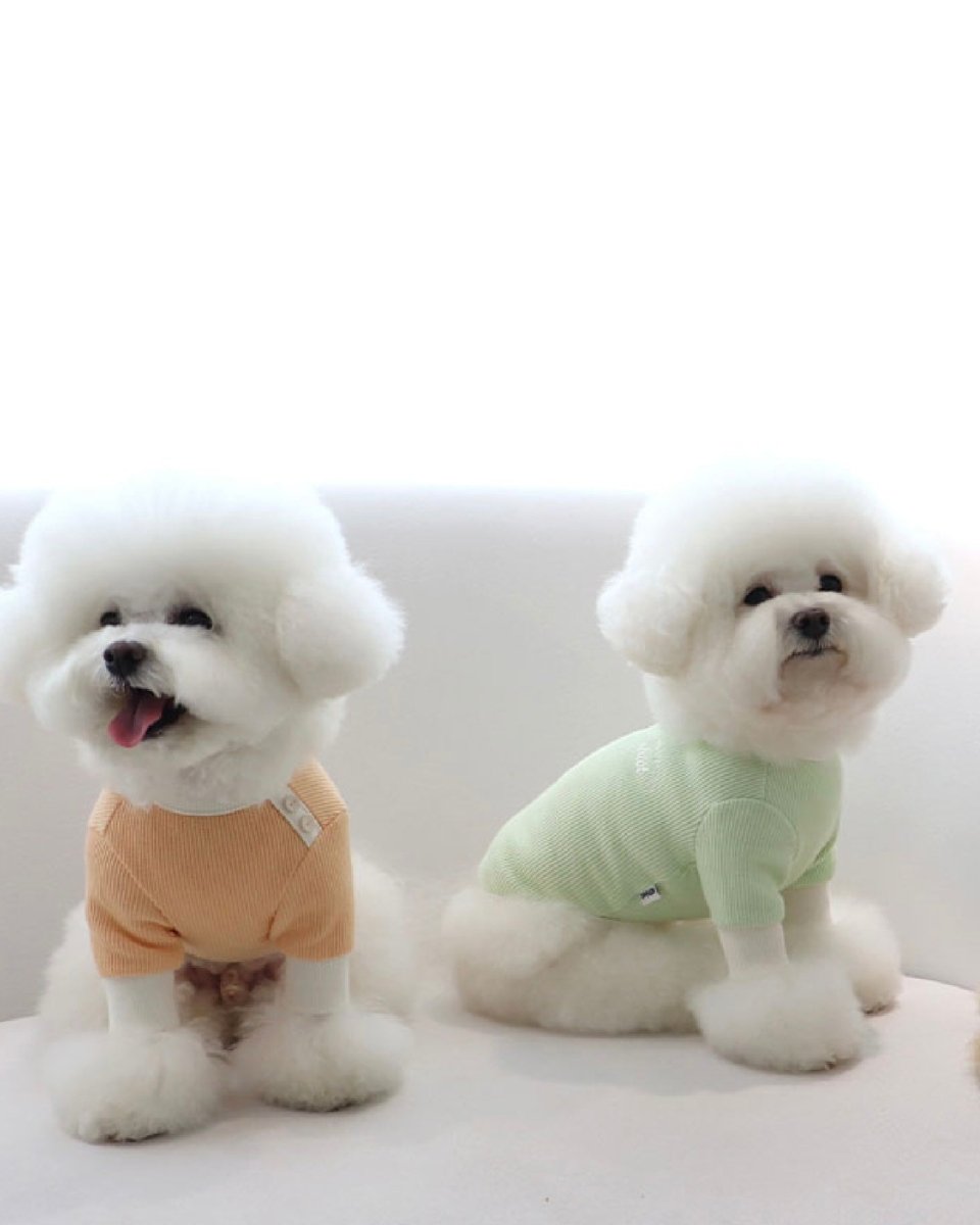 シャーベットワッフルTシャツ - HEY,BUDDY