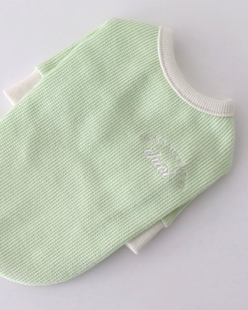 シャーベットワッフルTシャツ - HEY,BUDDY