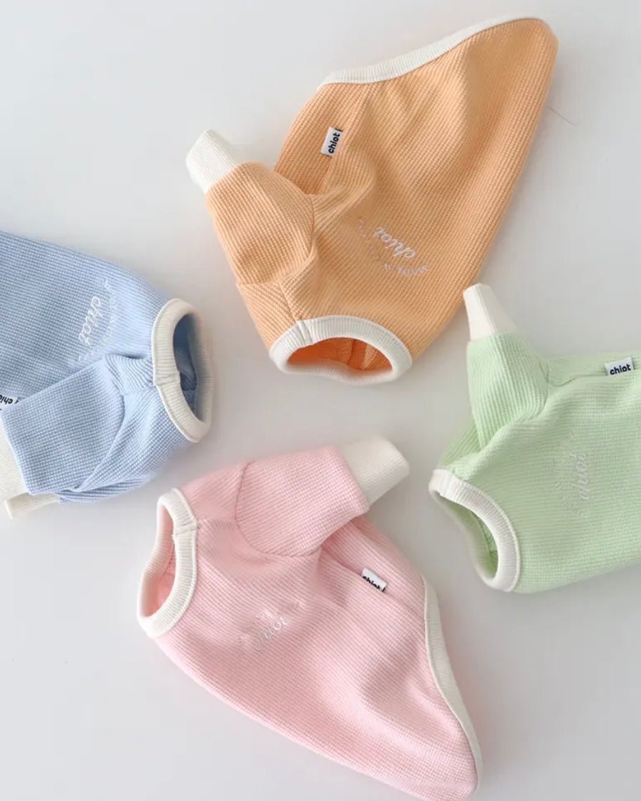 シャーベットワッフルTシャツ - HEY,BUDDY