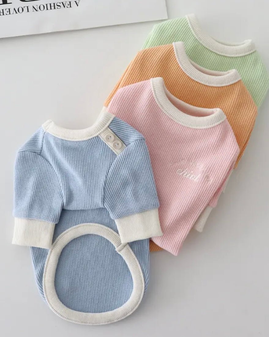 シャーベットワッフルTシャツ - HEY,BUDDY