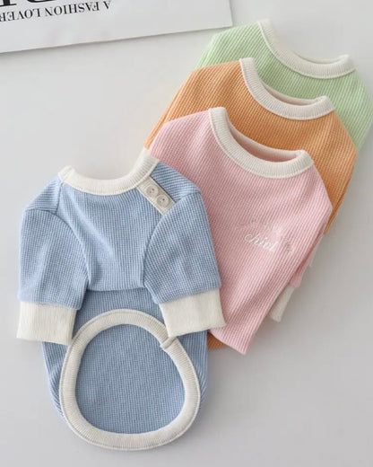 シャーベットワッフルTシャツ - HEY,BUDDY