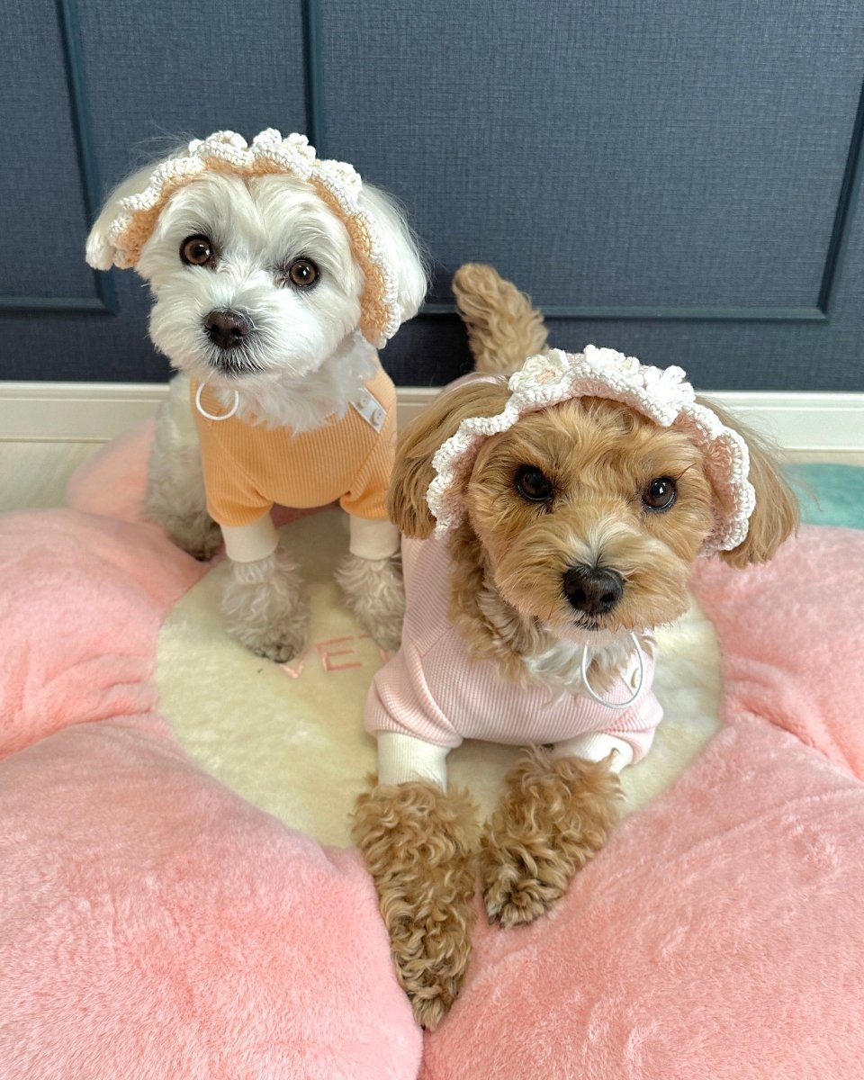 シャーベットワッフルTシャツ - HEY,BUDDY