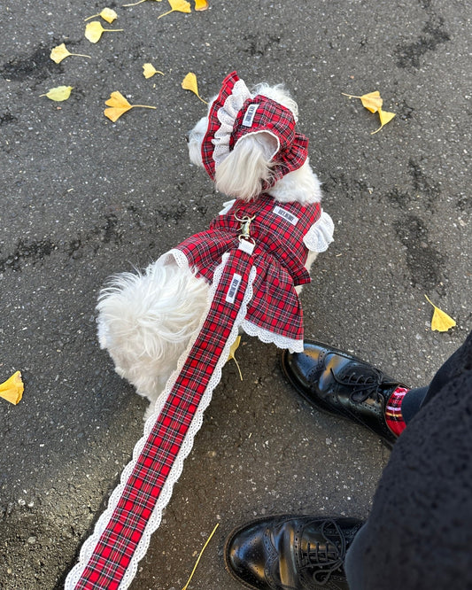 trad lace 2way leash - HEY,BUDDY