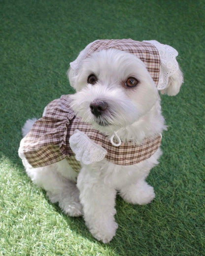 trad lace babushuka / bib FOR DOG - HEY,BUDDY