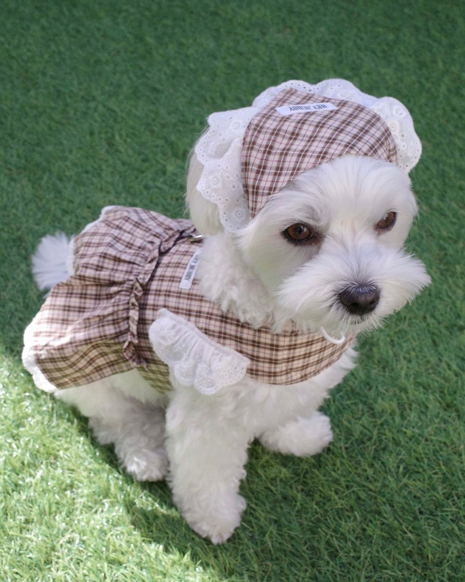 trad lace babushuka / bib FOR DOG - HEY,BUDDY