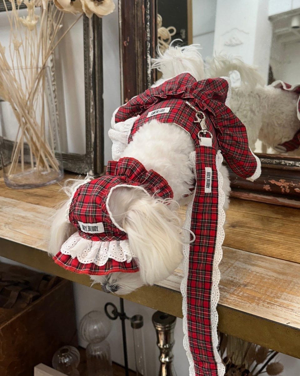 trad lace bonnet - HEY,BUDDY