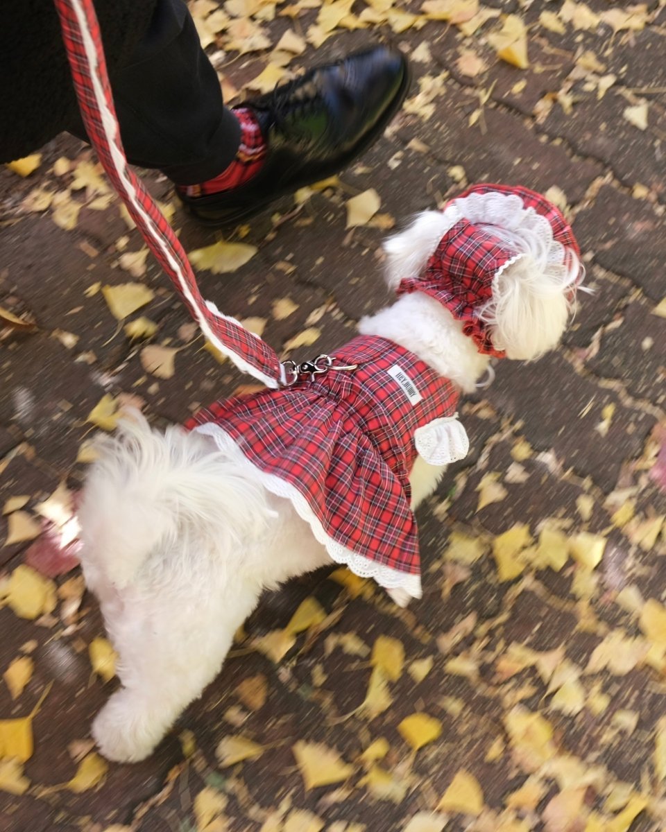 trad lace bonnet - HEY,BUDDY