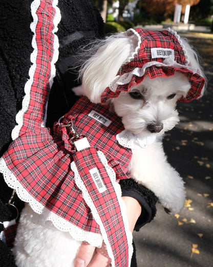 trad lace bonnet - HEY,BUDDY