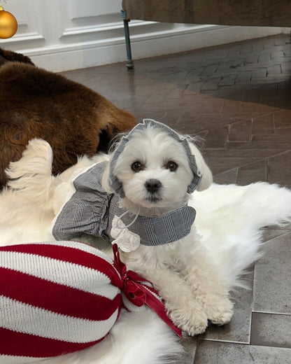 trad lace bonnet - HEY,BUDDY