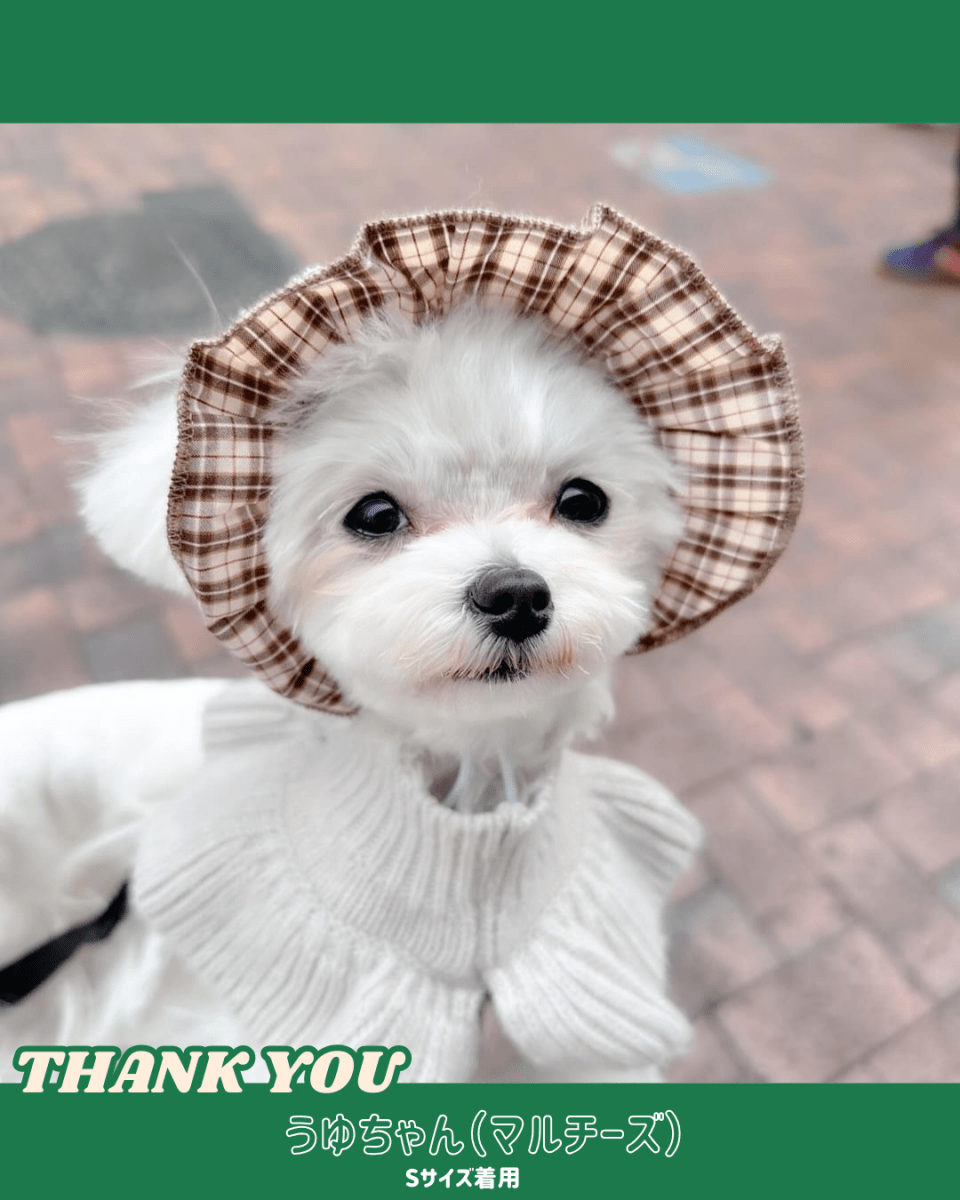 trad lace bonnet - HEY,BUDDY