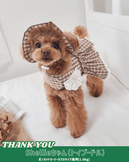 trad lace bonnet - HEY,BUDDY