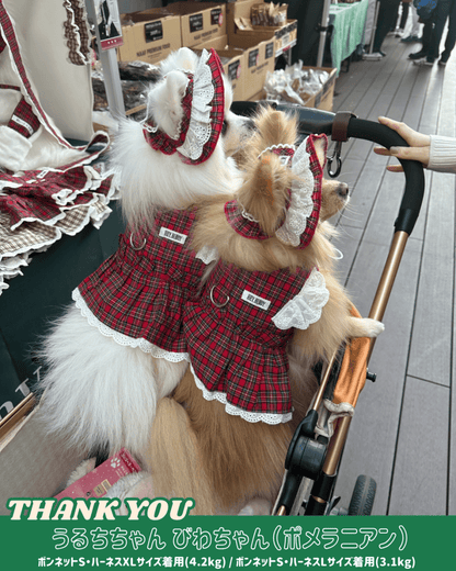 trad lace harness - HEY,BUDDY