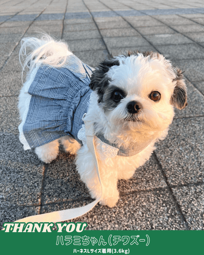 trad lace harness - HEY,BUDDY