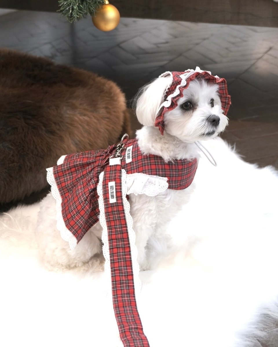 trad lace bonnet – HEY,BUDDY