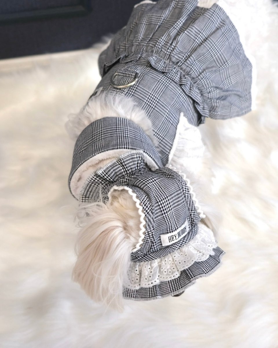 trad lace muffler FOR DOG - HEY,BUDDY