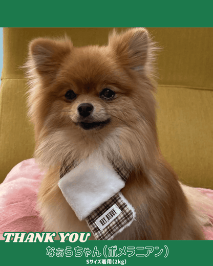 trad lace muffler FOR DOG - HEY,BUDDY