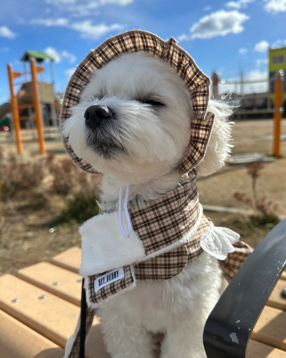 trad lace muffler FOR DOG - HEY,BUDDY