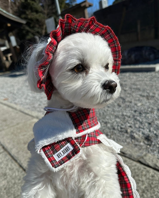 trad lace muffler FOR DOG - HEY,BUDDY
