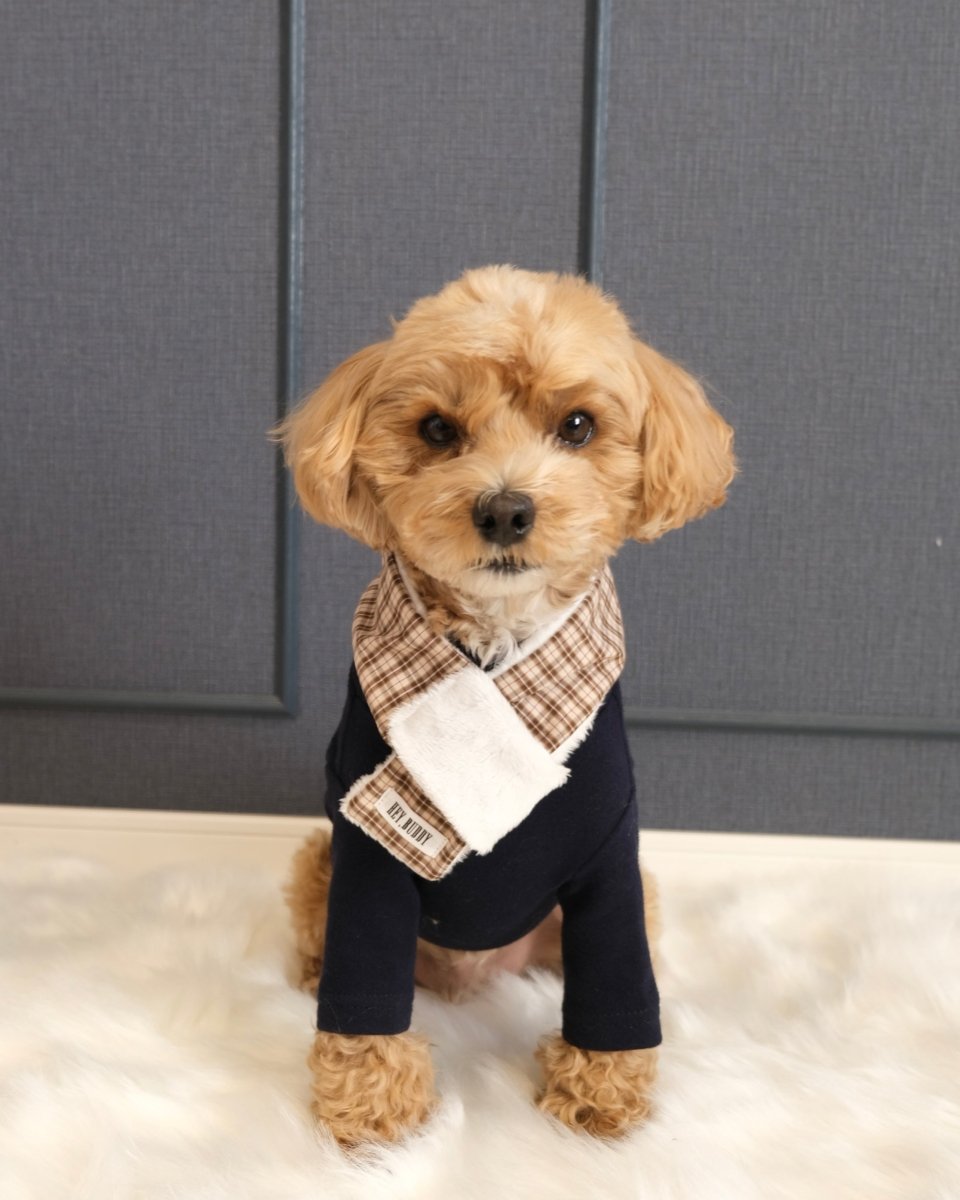 trad lace muffler FOR DOG - HEY,BUDDY