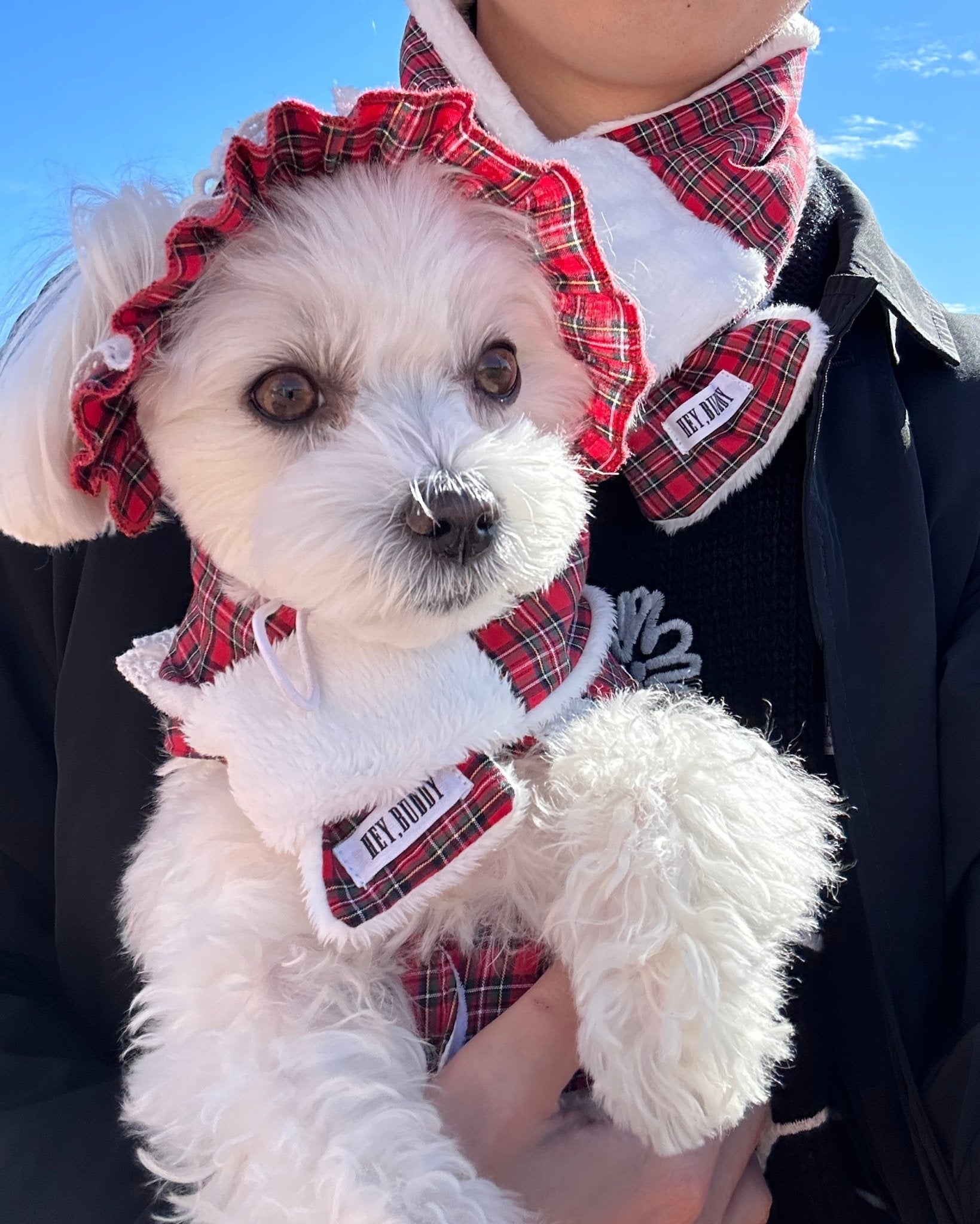 trad lace muffler FOR HUMAN - HEY,BUDDY