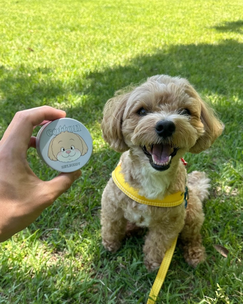 treats can - HEY,BUDDY