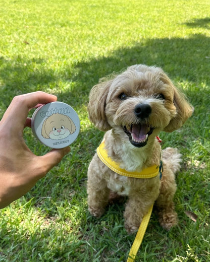 treats can - HEY,BUDDY