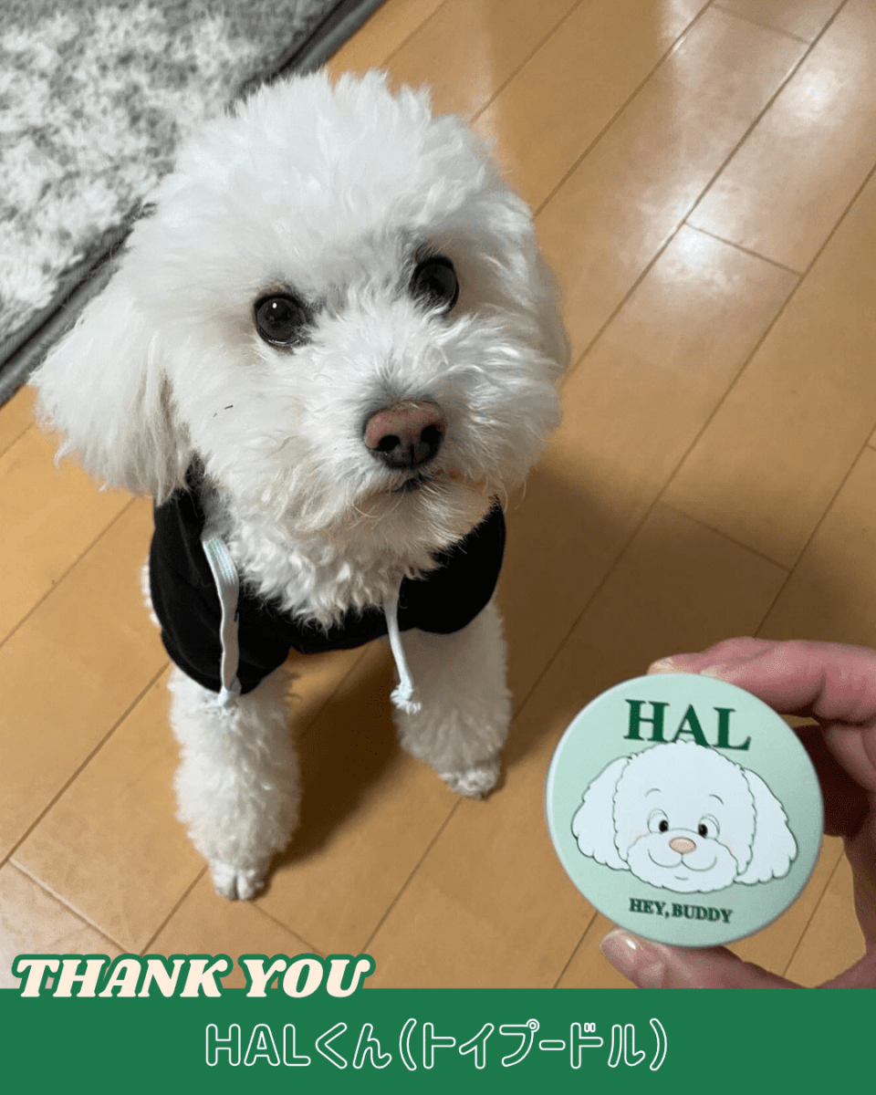 treats can - HEY,BUDDY