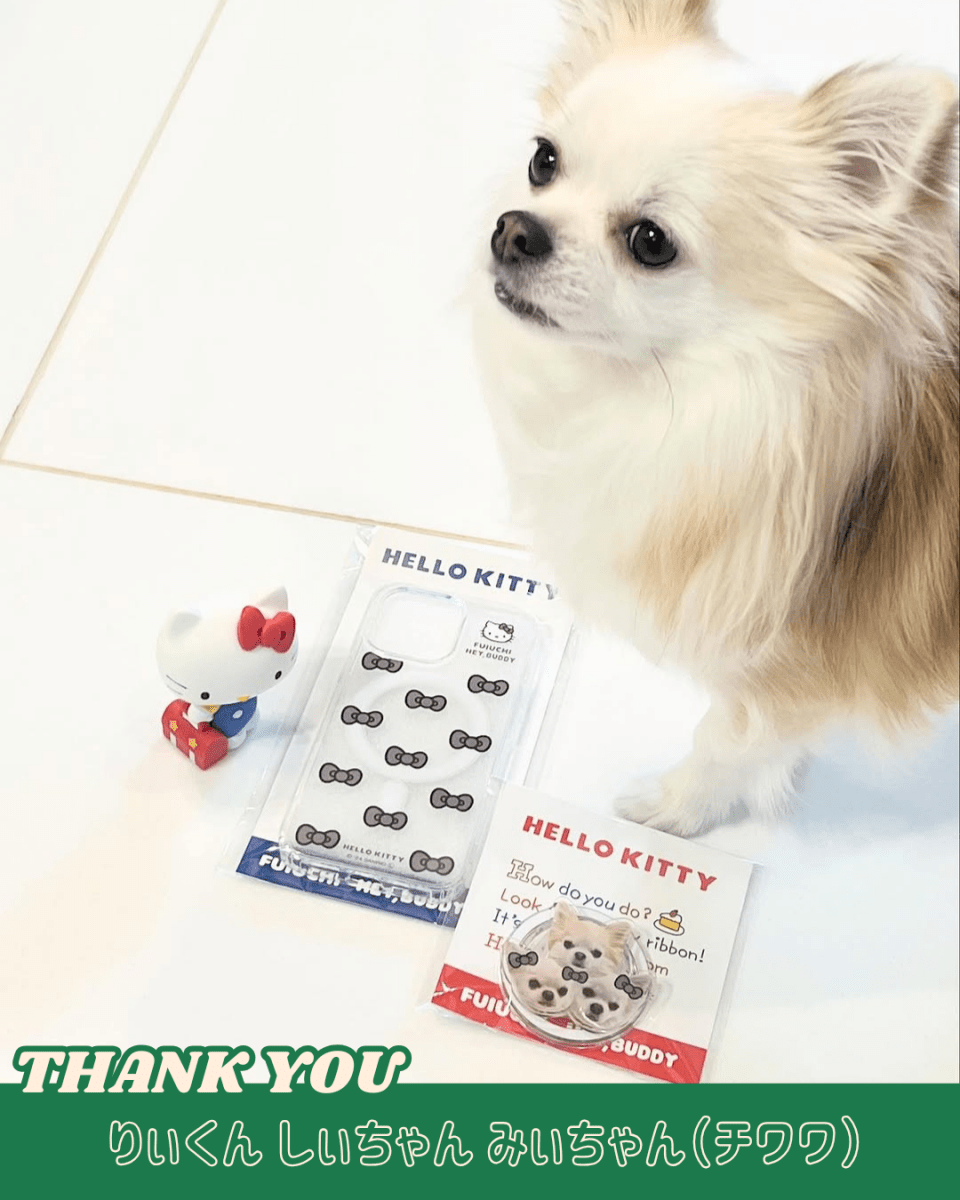 ViVi掲載【HELLO,KITTY】リボンスマホケース - MagSafe対応 - HEY,BUDDY