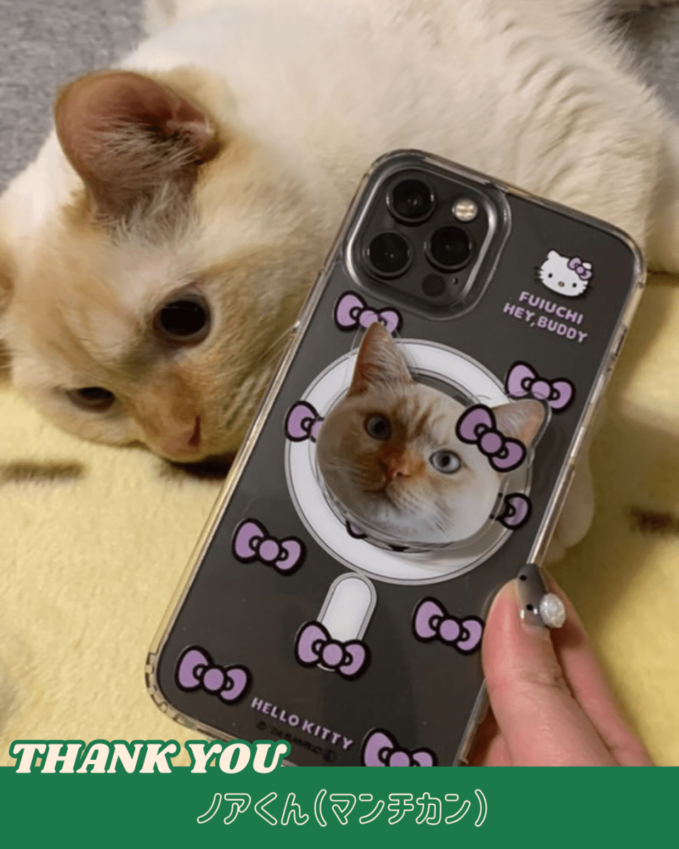 ViVi掲載【HELLO,KITTY】リボンスマホケース - MagSafe対応 - HEY,BUDDY