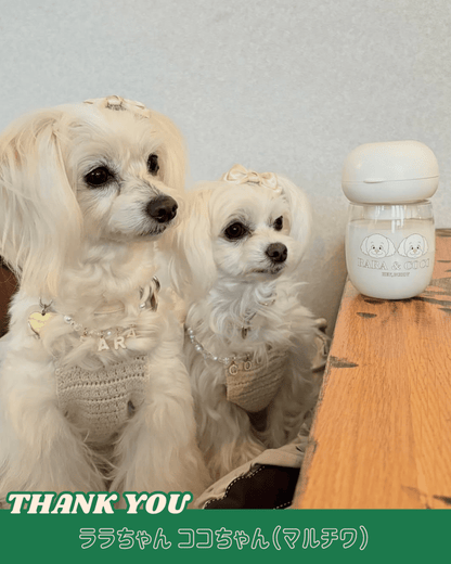 water bottle - 300ml - HEY,BUDDY