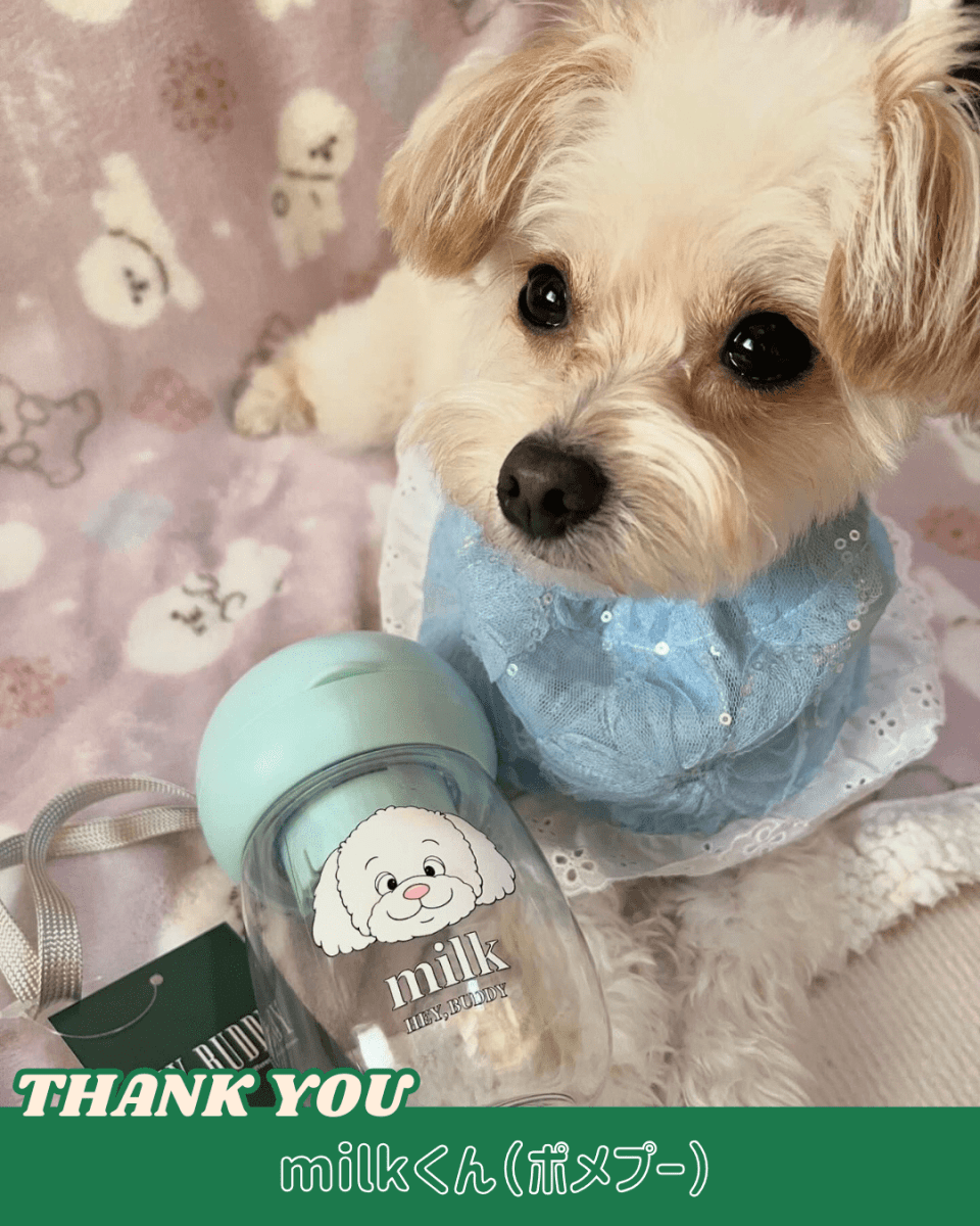 water bottle - 300ml - HEY,BUDDY