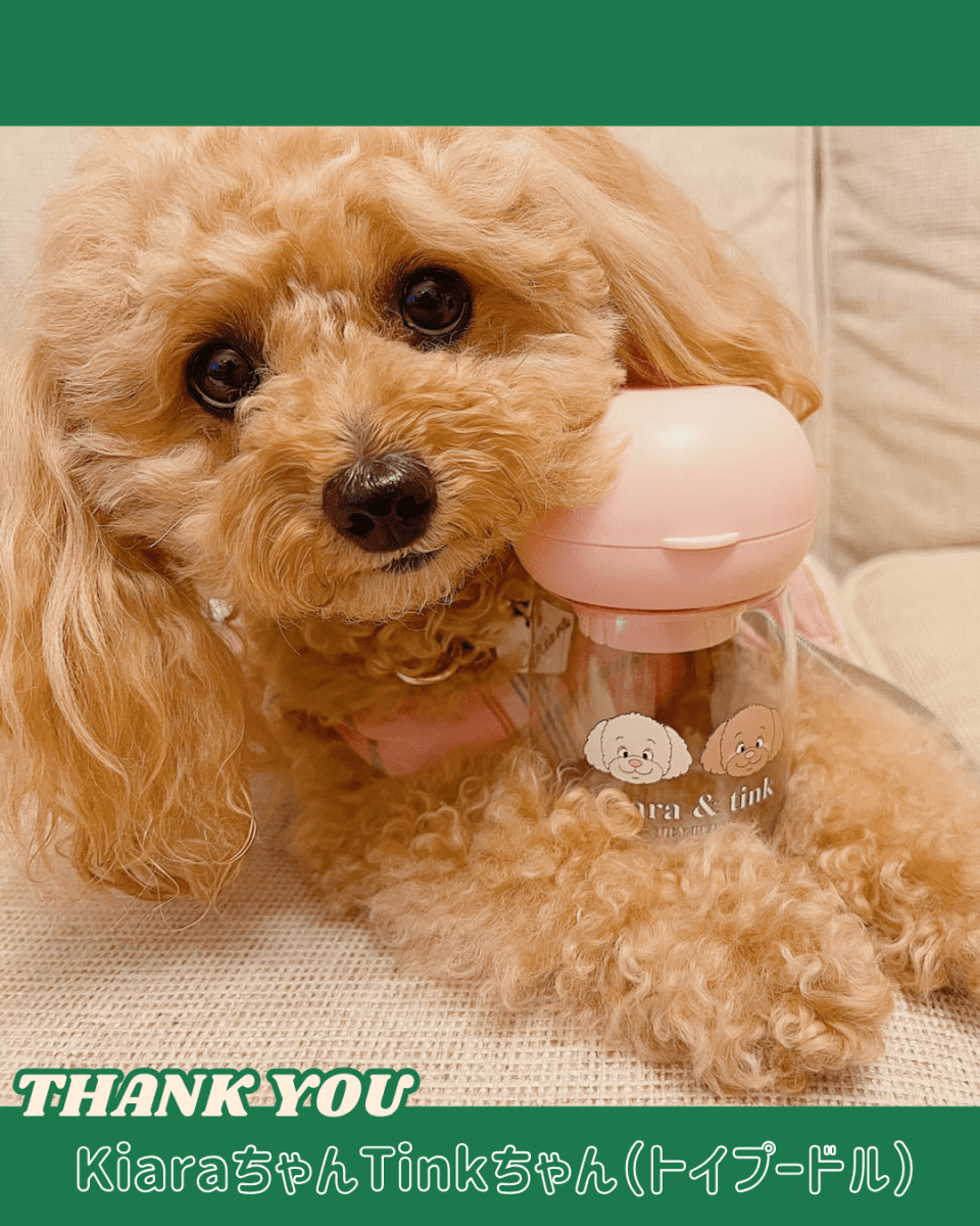 water bottle - 300ml - HEY,BUDDY