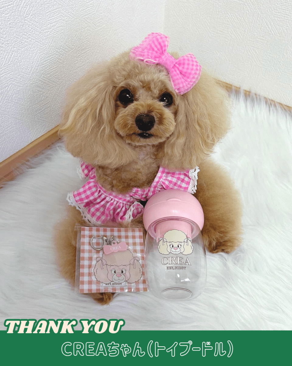 water bottle - 300ml - HEY,BUDDY