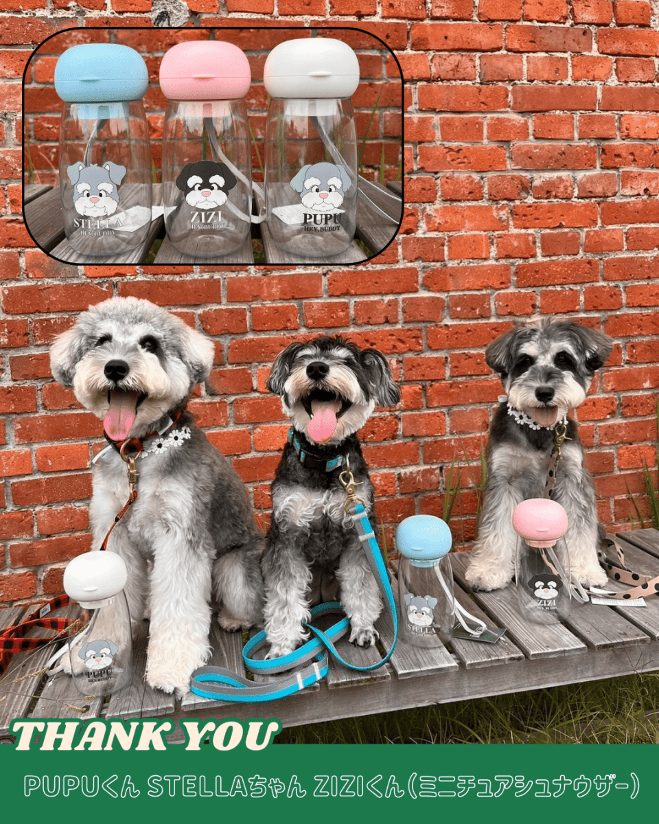 water bottle - 550ml - HEY,BUDDY